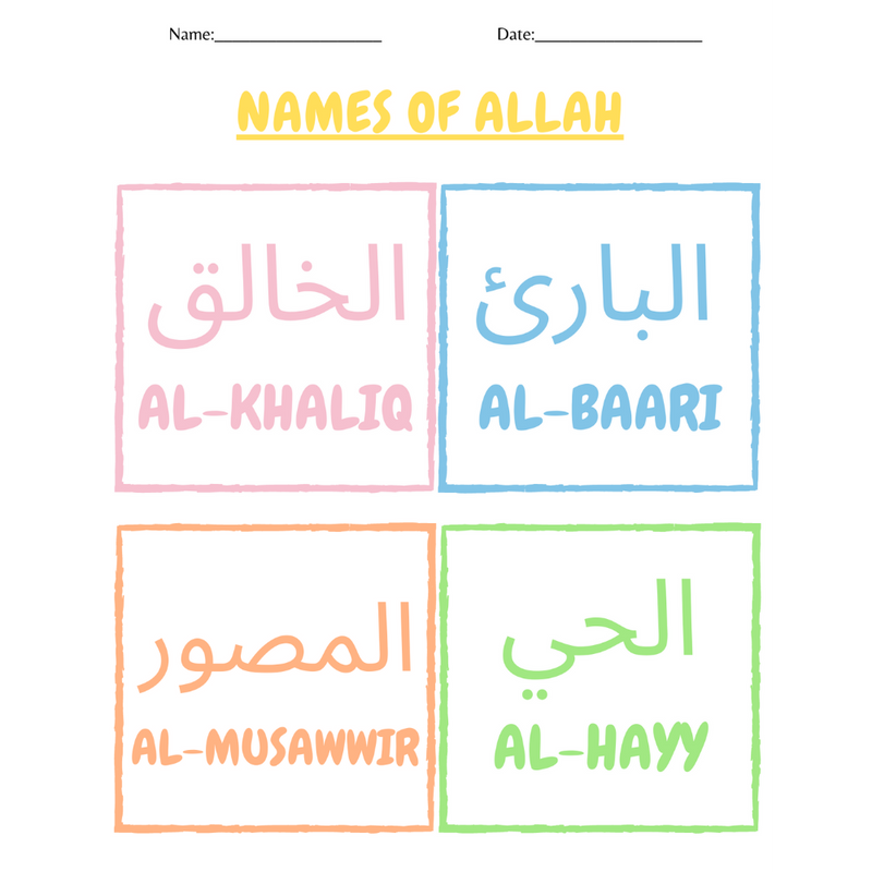 Butterfly Life Cycle and Names of Allaah Worksheet