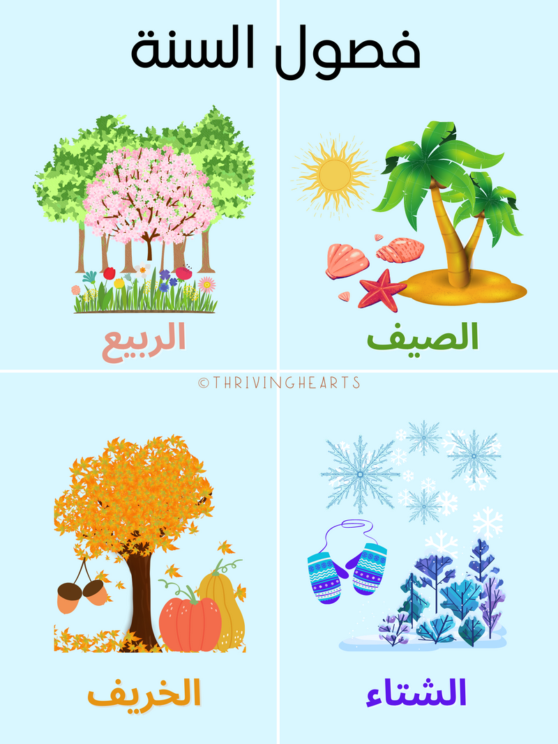 Seasons Flashcards Arabic and English