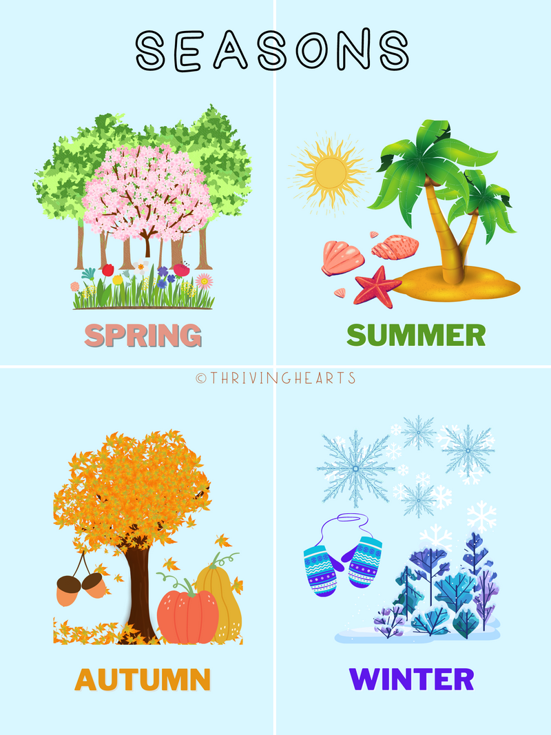 Seasons Flashcards Arabic and English